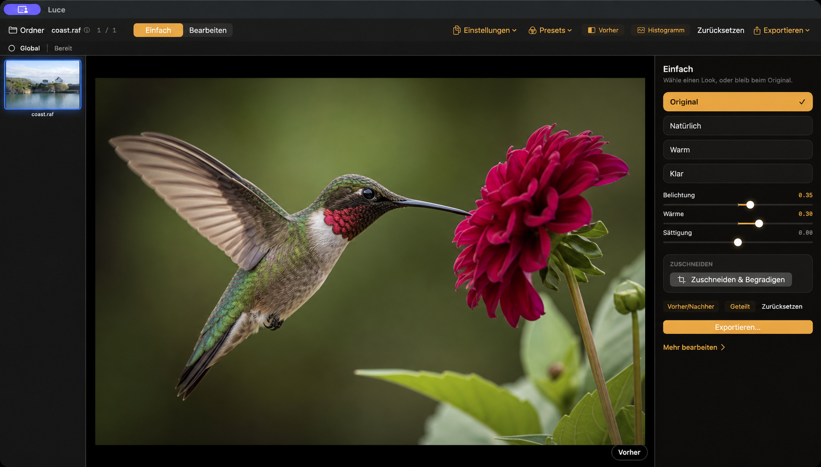 Luce mit einer entwickelten Makroaufnahme eines Kolibris an einer Blüte, Filmstreifen und aktiven Reglern für Ton und Farbe.