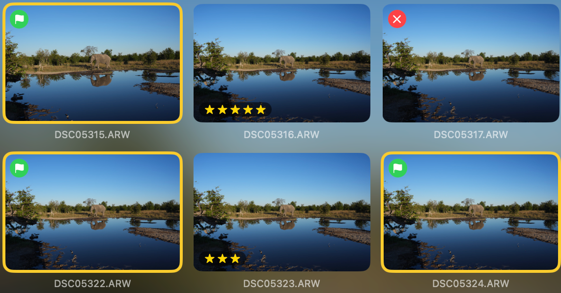 Vergrösserter Ausschnitt des Rasters in Opura Select: Fotos mit Markierungen, Sternen und Dateinamen