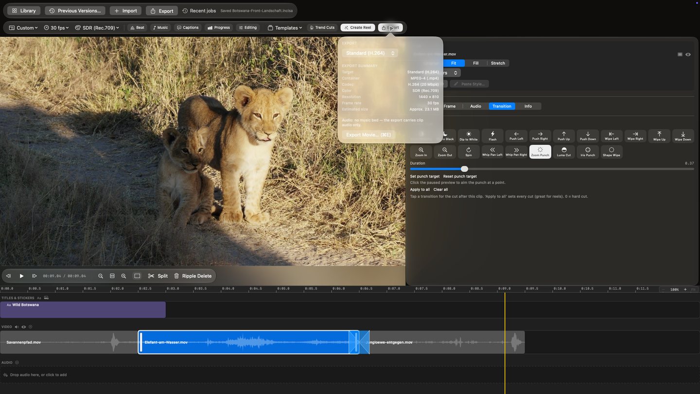 Exportübersicht in Opura Video mit Container, Codec, Auflösung, Bildrate, geschätzter Grösse und frontal sichtbaren Junglöwen. App-Oberfläche auf Englisch.