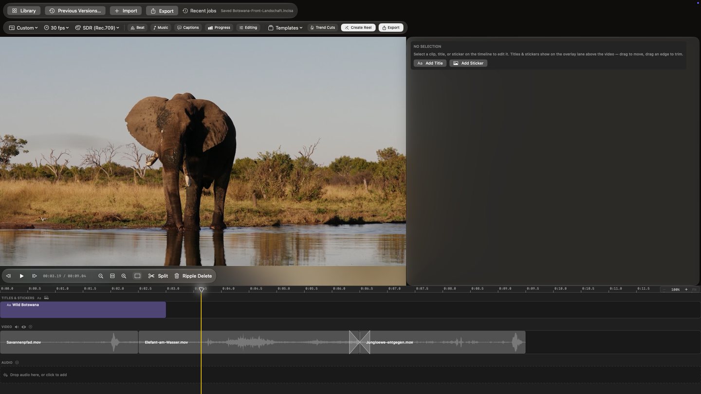 Opura-Video-Timeline mit Titel und drei Clips: Savannenpfad, frontaler Elefant und entgegenkommende Junglöwen. App-Oberfläche auf Englisch.
